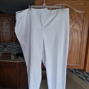 INVESTMENTS WOMENS PANTS SIZE 22W